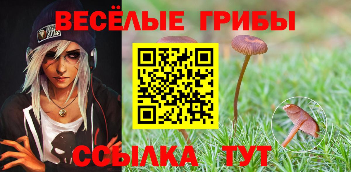 Псилоцибиновые грибы Magic Shrooms  Вход с VPN  Галлюциногенные грибы MAGIC MUSHROOMS  Сафоново 